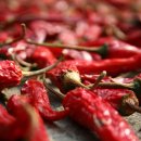 신흥건조기합천군대리점 이미지