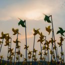 바람이 불어오는 곳 이미지