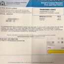 메카닉 디젤 | 따뜻한 호주 생활 시작/L4W라포웍 포크리프트,화이트카드/계좌오픈/중고차구매(with 매카닉)/렌트 인스펙션