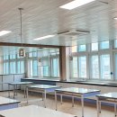 밀양초등학교 이미지