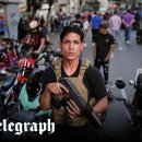 Beauty in Dog's 이미지