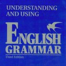 문법책]Longman-English Grammar & Grammar in use 이미지