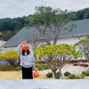 파인트리키즈풀빌라 이미지