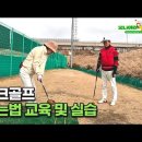 파크골프 치는법 교육 및 실습 동영상 입니다. 파크골프 티샷 및 퍼팅의 기본이 되는 파크골프 치는 요령 입니다. 파크골프치는법 파크골프 이미지