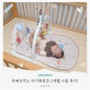 경우체육관 | 아기장난감 하베브릭스 아기체육관 2개월 사용 후기
