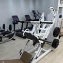 PT샵 폐업으로 인해 기구 정리합니다 / S~A급 (디랙스 + 캐포머 + 듀얼베럴 + 스키에르그 + 원판 + 덤벨+ 인바디270S등) 이미지