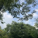 지안목장 | [경기도 가평] 지안힐링라운지 캠핑장 개별화장실