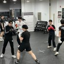 동탄센트럴복싱짐 이미지