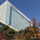 Re: 최근 민주노총 관련 재판 결과 (1심 무죄) 이미지
