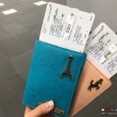 6박8일 신혼여행, 유럽여행, 아시아나 기내식, 개선문, 몽마르뜨언덕, 파리 -1 :)