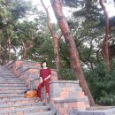 숙지공원 삼거리2 이미지