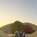 (유)중앙시장 | 포토이즘 점보네컷(대형 인생네컷), 윈터포차라이트, 중앙시장 야시장 솔직 후기, 황리단길 근처 맛집 추천