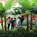 햇살자연어린이집 이미지