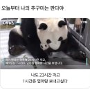 카페원플러스원 이미지