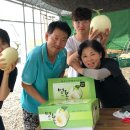 가브리엘농장 이미지