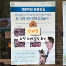 중앙동물병원 | 노견 스케일링 ‘ 온유동물병원 수원 ‘ 내돈내산 후기 (비용, 마취 등) ꒰ᐢ. .ᐢ꒱