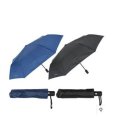 모닝글로리 이미지