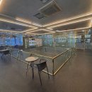 도그마루 강아지고양이 청주점 이미지