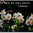 행복이있는곳
