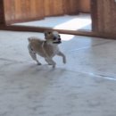 개스트룸 이미지