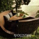 둥지식당 이미지