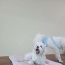 Y537호텔 이미지