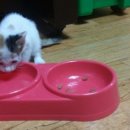 새마산동물병원 이미지