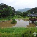 내산 Daum카페