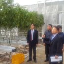 육일농산 이미지