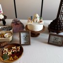 샘펫스튜디오 이미지