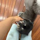 목포등관리 바디케어 맛집 <벨라미> 영림쌤 후기! | 목포에스테틱, 목포바디관리