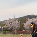 옐스튜디오 이미지