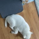 발모아 - 부천시 원미구 장말로200번길 23 | 발모아