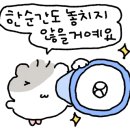 꼬꼬과자점 이미지