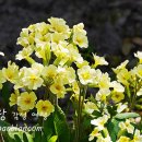 사람이 꽃보다 아름다워 이미지