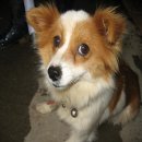 영림축산 이미지