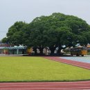 강진작천초등학교 이미지