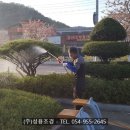 성산면사무소 이미지