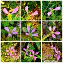 만회농장 이미지