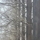 스님+며느리+강아지 이미지