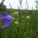 장생농장 이미지