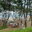 산업로8번길 | 주전 보밑항 피크닉장 후기(회원가입,예약,주차,좋은점,아쉬운점)