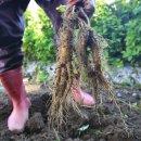 신대성당식당 이미지