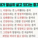 쏘롱이네