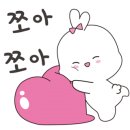 단미아띠 이미지