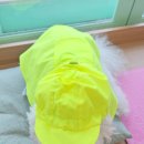 은진안감