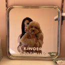 킨더그루밍 이미지