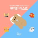 트래블 메이커 이미지