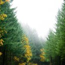 아지랑이 이미지