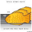 슈크림 이미지